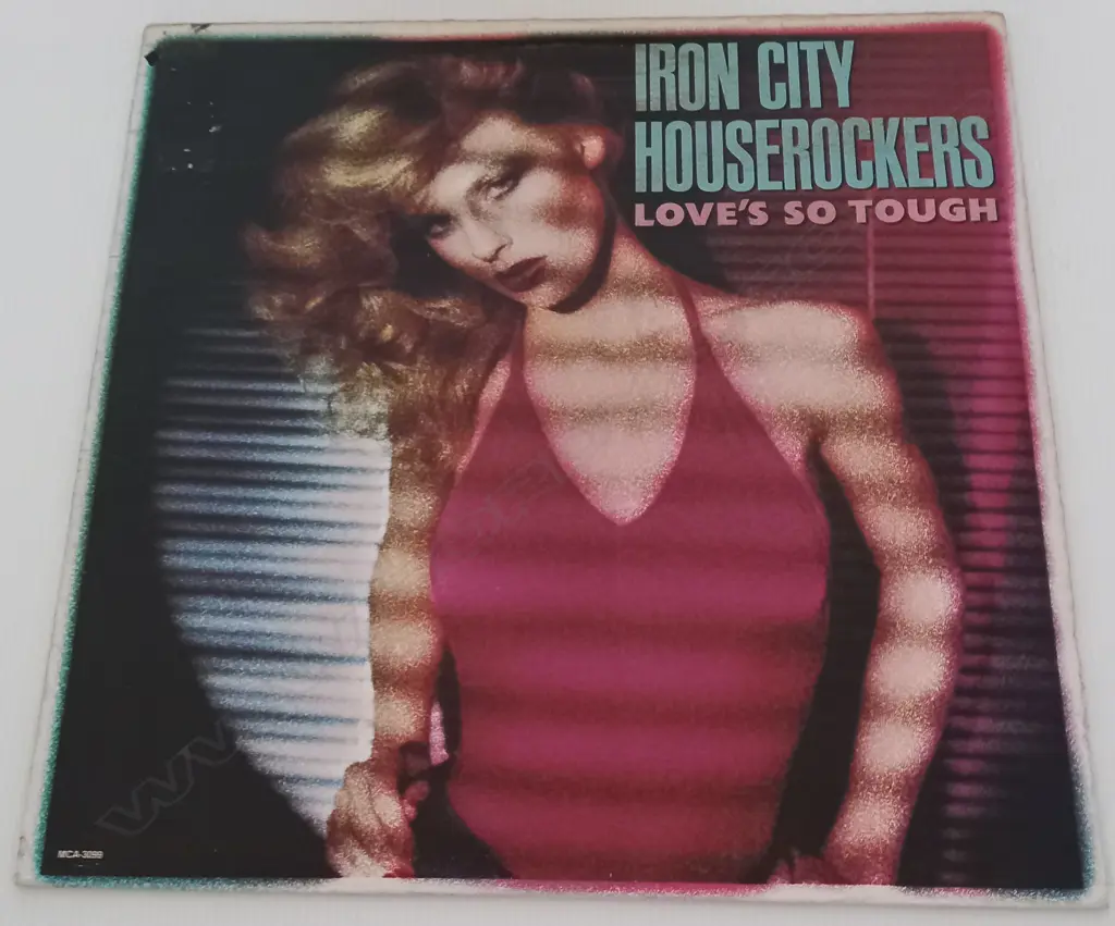 Iron City Houserockers, Love's So Tough Image 1++